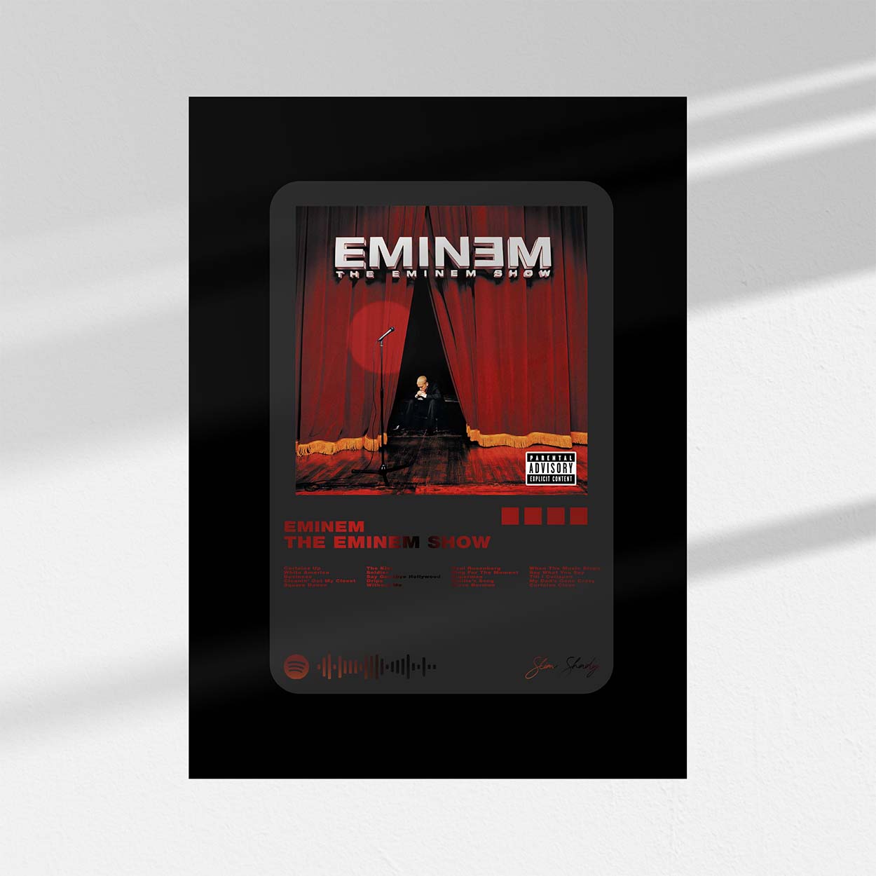 The Eminem Show | Medipalyer B