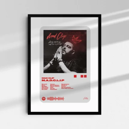 M.A.D.C.L.I.P. | Mediaplayer W