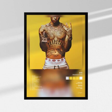 23