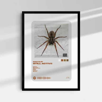 Still Active | Mediaplayer W