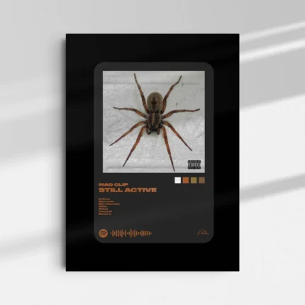 Still Active | Mediaplayer B