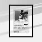 Dangerous Woman | Mediaplayer W